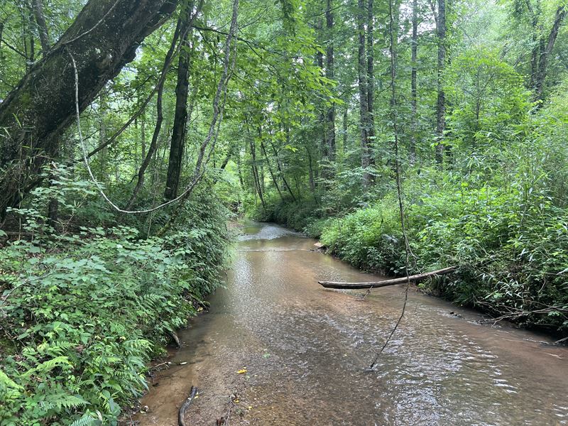 Cornhouse Creek Recreational Land : Salem : Oconee County : South Carolina