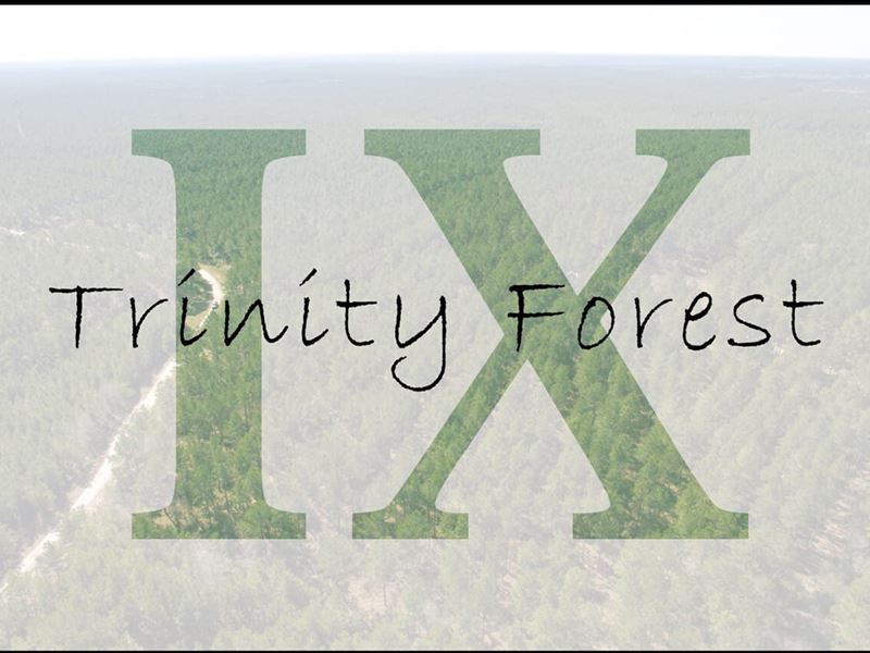 13 Acres, 9E Trinity Forest IX : Trinity : Trinity County : Texas