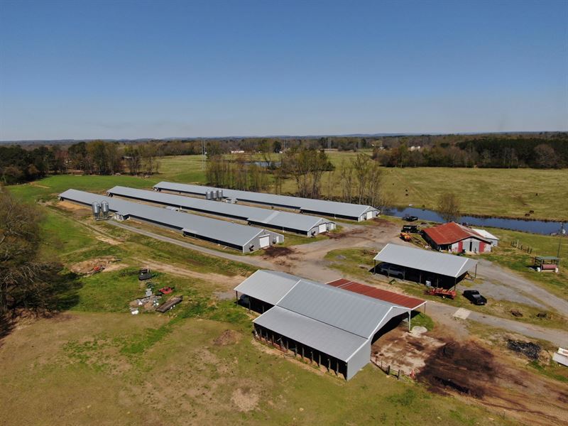 New Price Lemaster Poultry Farm : Arab : Marshall County : Alabama