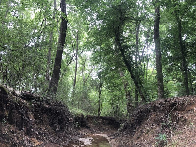 Delany Branch Tract, 3423 : Palestine : Anderson County : Texas