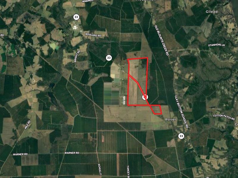 Farmland for Sale, Chocowinity, NC : Chocowinity : Beaufort County : North Carolina