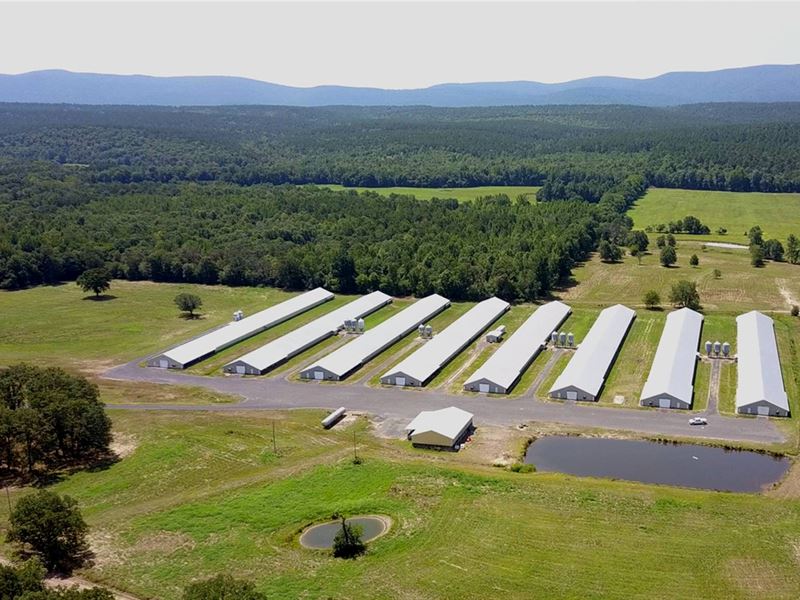 8 House Arkansas Chicken Farm : Waldron : Scott County : Arkansas