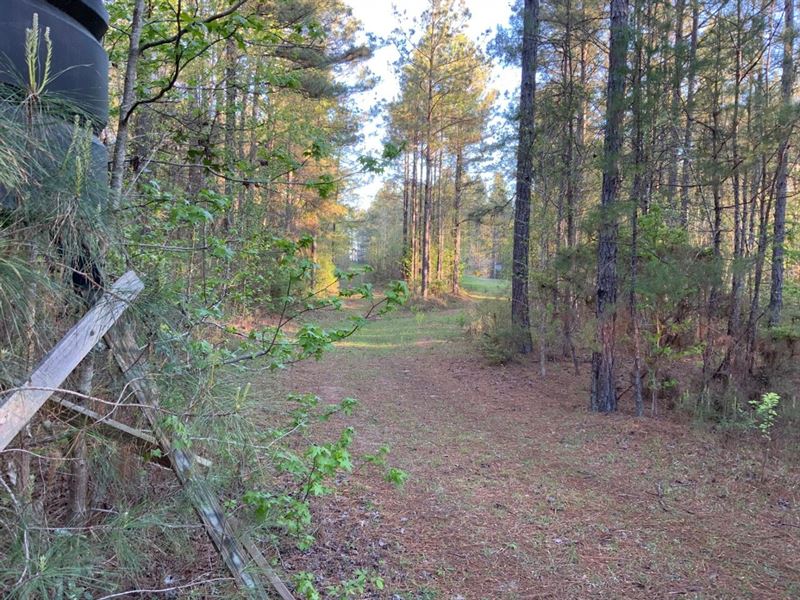 Ridge Road Tract of Lasalle Parish : Jena : Lasalle Parish : Louisiana