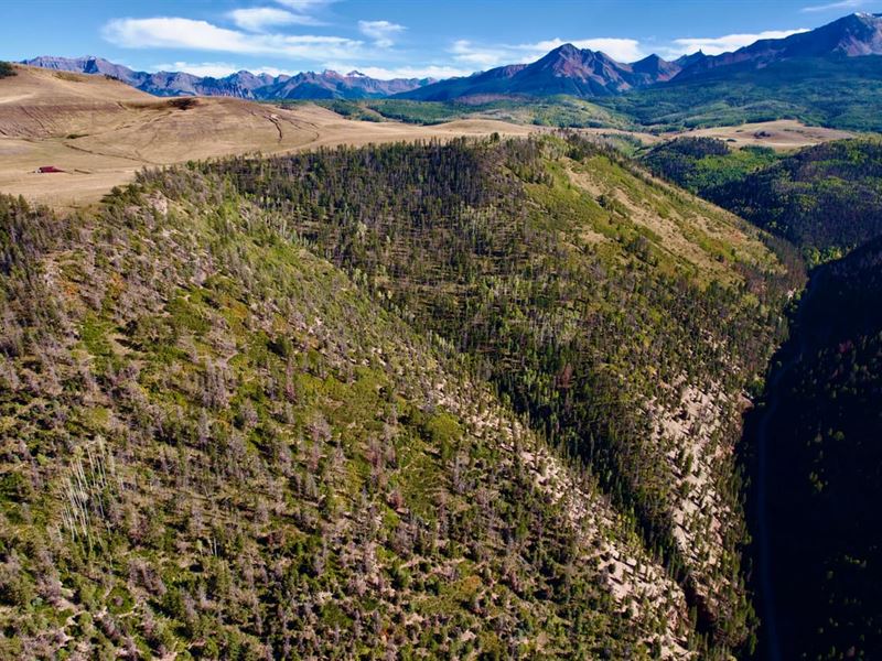 Telluride Mountain Land : Placerville : San Miguel County : Colorado