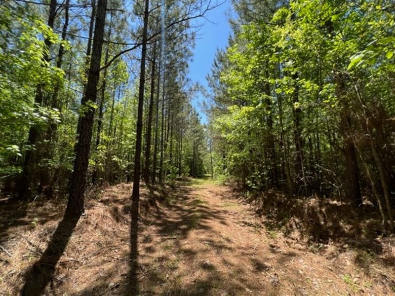 149 Acres in Utica, MS / Deer : Utica : Hinds County : Mississippi