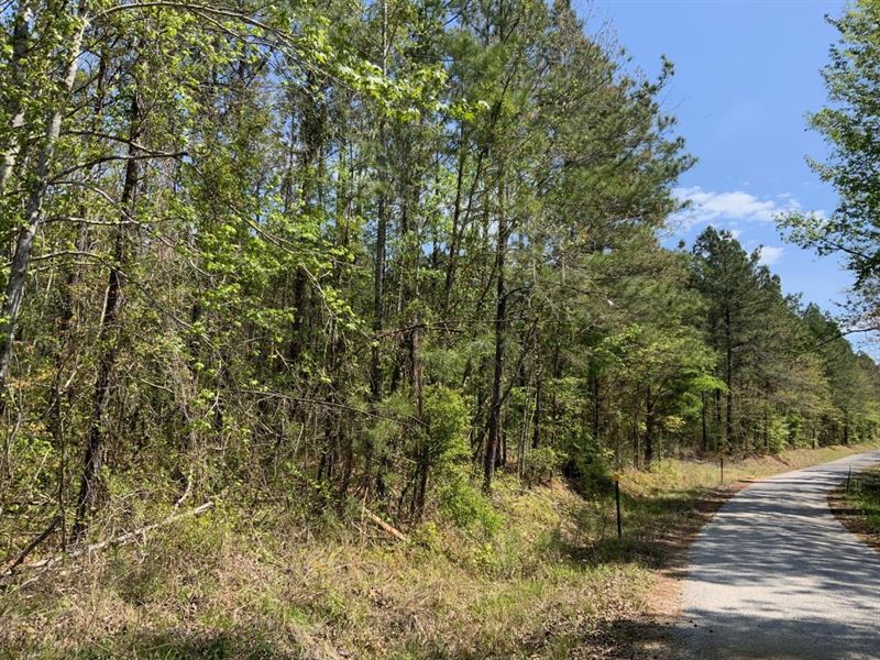 Microtower Road, Tract A, Caldwell : Clarks : Caldwell Parish : Louisiana