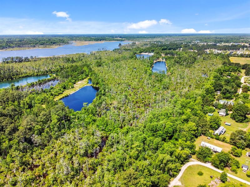 Hunting Property : Chocowinity : Beaufort County : North Carolina