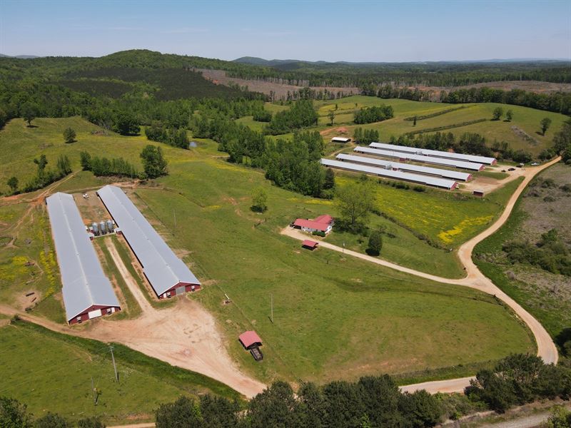 Boondocks Broiler Farm : Lineville : Clay County : Alabama