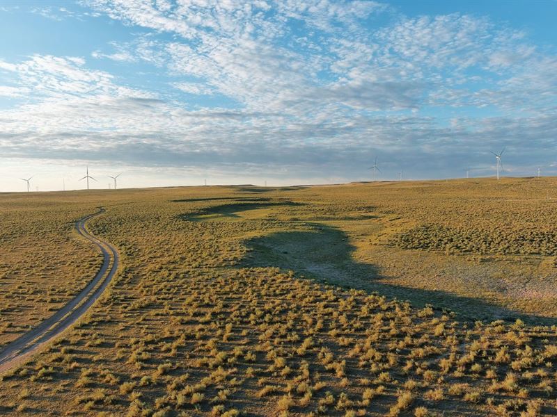 Condon West Pasture : Crook : Logan County : Colorado