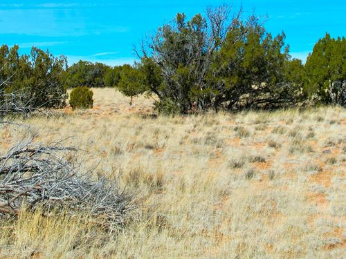 Arizona Ranches for Sale : Page 4 of 11 : RANCHFLIP