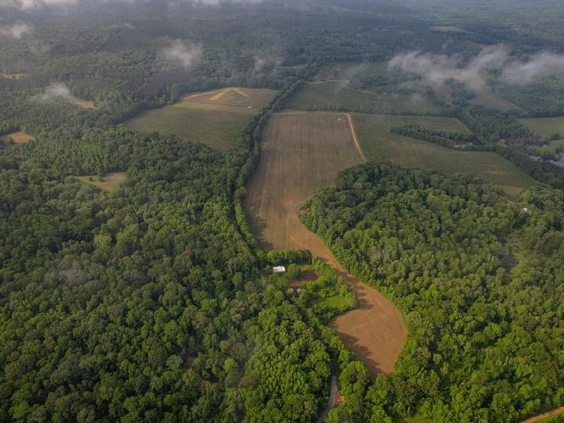 455 Acres for Sale Hunting Land : Hermanville : Claiborne County : Mississippi