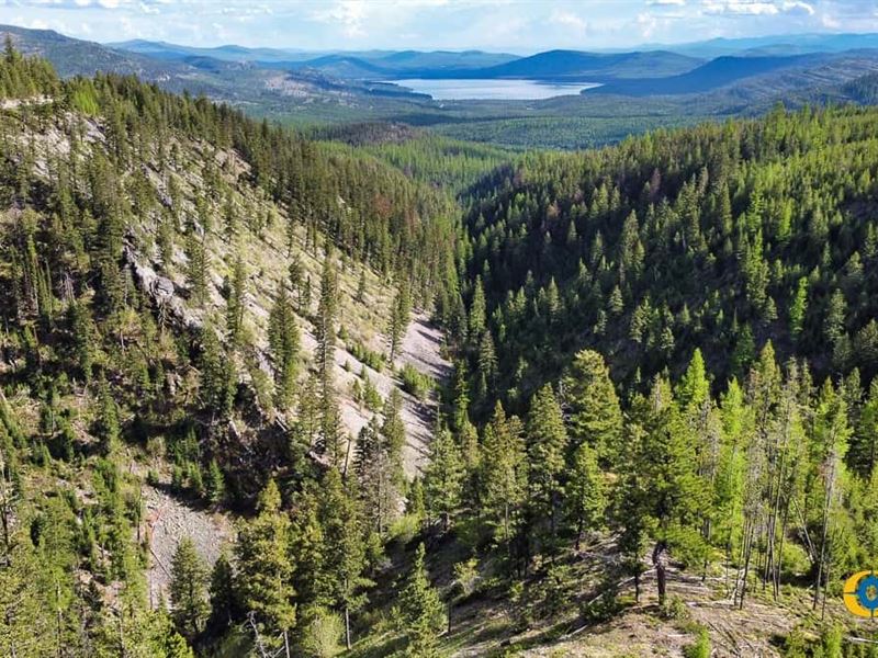 Two Creeks Tract : Marion : Flathead County : Montana