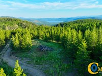 Two Creeks Tract : Marion : Flathead County : Montana