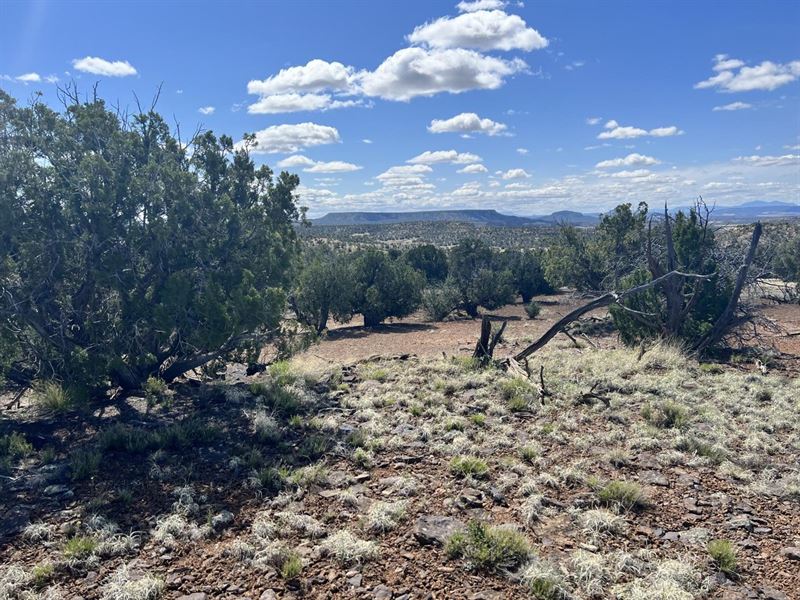 Western Bell Ranch : Fence Lake : Cibola County : New Mexico