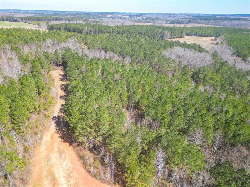 135 Acres Chambers Co, Al, Hun : Lafayette : Chambers County : Alabama