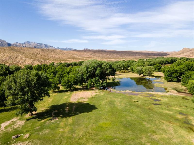 Weber Ranch, Ranch for Sale in Nevada, #351453 : RANCHFLIP