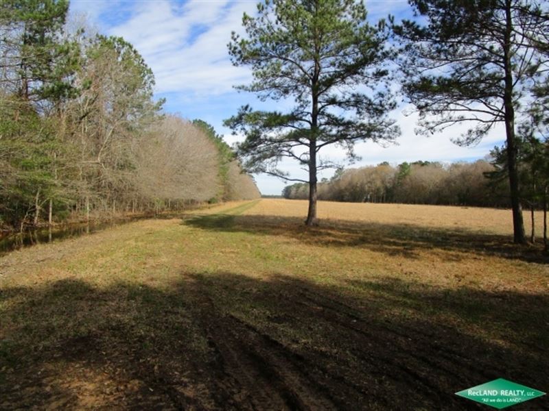 1294 Ac, Ranch, Dev Potential : Sour Lake : Hardin County : Texas