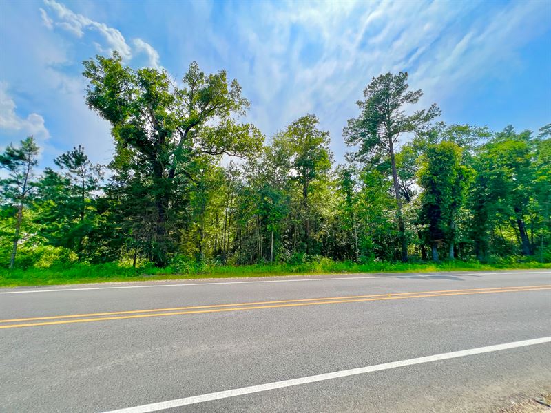 38.34+/- Acres, FM 841 : Lufkin : Angelina County : Texas