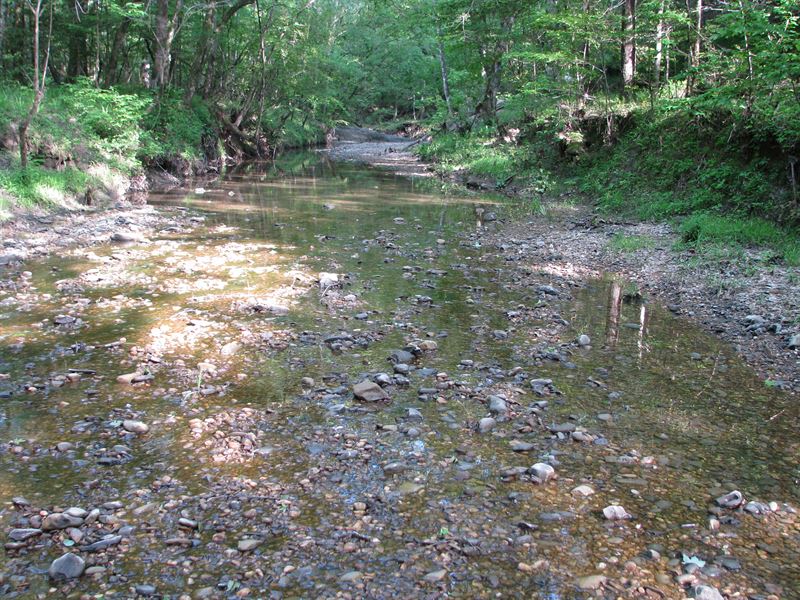 Gravel Creek 153 ac : Camden : Wilcox County : Alabama