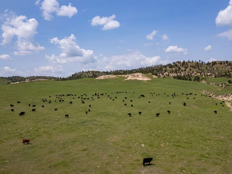 JR Farm and Ranch : Gering : Banner County : Nebraska