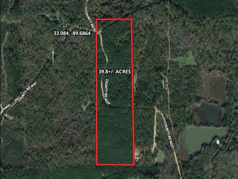 39.8 Acres in Attala County in Sall : Sallis : Attala County : Mississippi