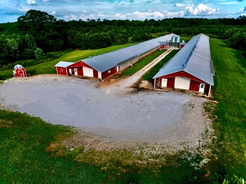 2 House Breeder Farm with 2 Homes : Union Point : Taliaferro County : Georgia