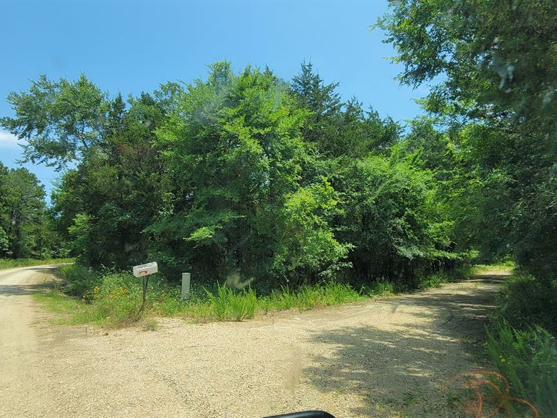 Joslin Valley Tract C : Snow : Pushmataha County : Oklahoma