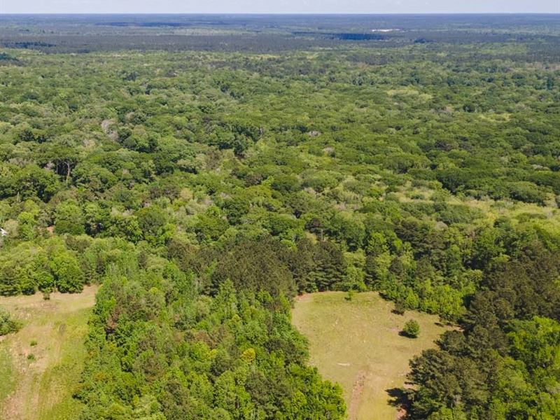 56 Ac Southeast Bulloch County : Brooklet : Bulloch County : Georgia