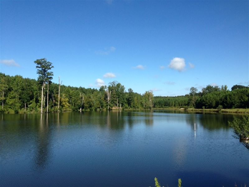 Gorgeous Timber & 9 Acre Lake : Monticello : Jasper County : Georgia