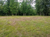 Get Away From it All : Gatewood : Ripley County : Missouri