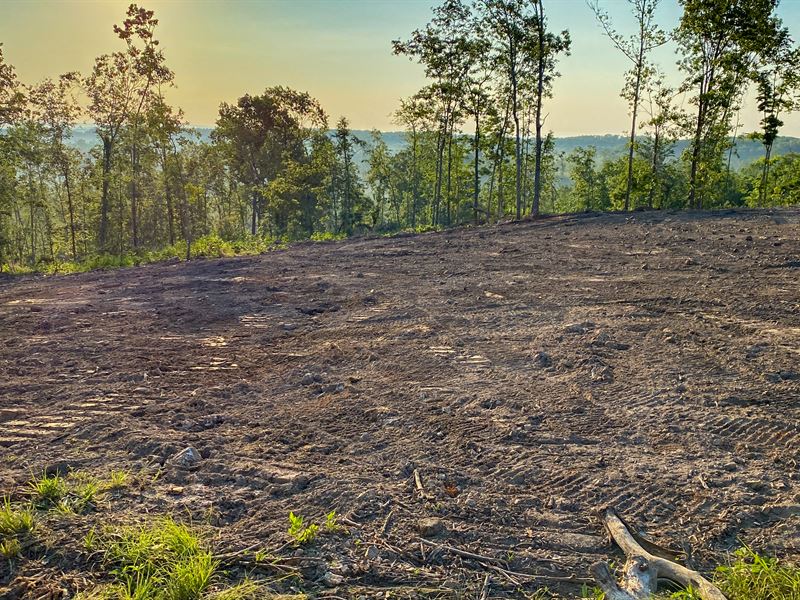 Nature is Your Neighbor : Willow Springs : Howell County : Missouri