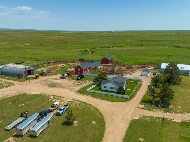 Sidwell Hereford Ranch : Carr : Weld County : Colorado