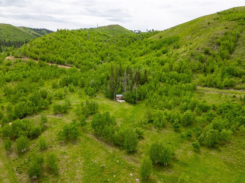 Two-Bit Ranch : Deadwood : Lawrence County : South Dakota