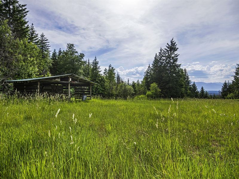 Kootenai River View Land : Bonners Ferry : Boundary County : Idaho