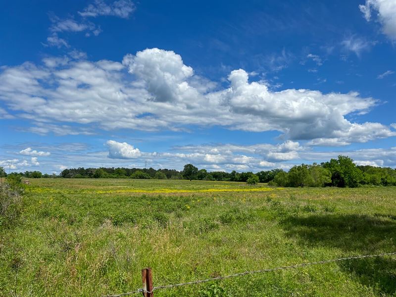 21 Acres, T-7B Private Road : Lovelady : Houston County : Texas