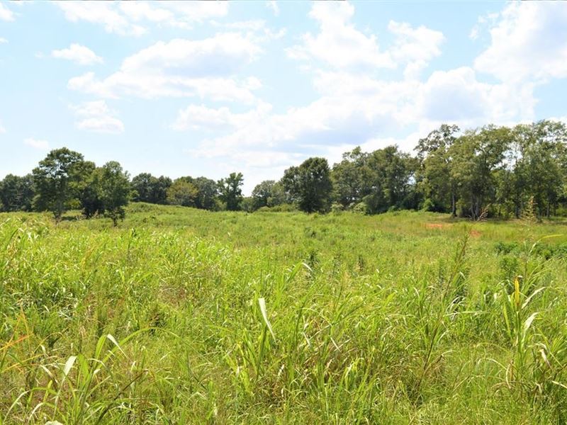 10 Acre Homesite for Sale Near Golf : McComb : Pike County : Mississippi