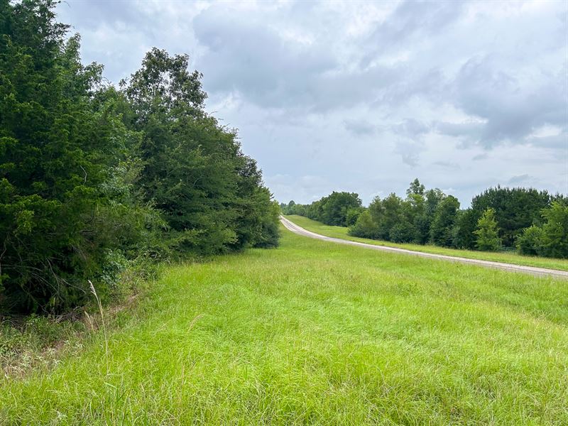 159 Acres, 650 County Line Road : Henderson : Rusk County : Texas