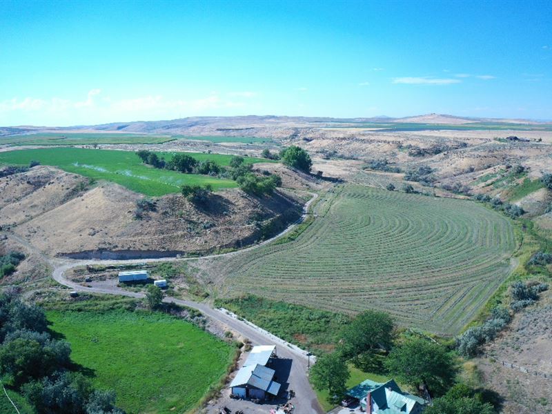 Jacobsen Gulch Ranch : Ontario : Malheur County : Oregon