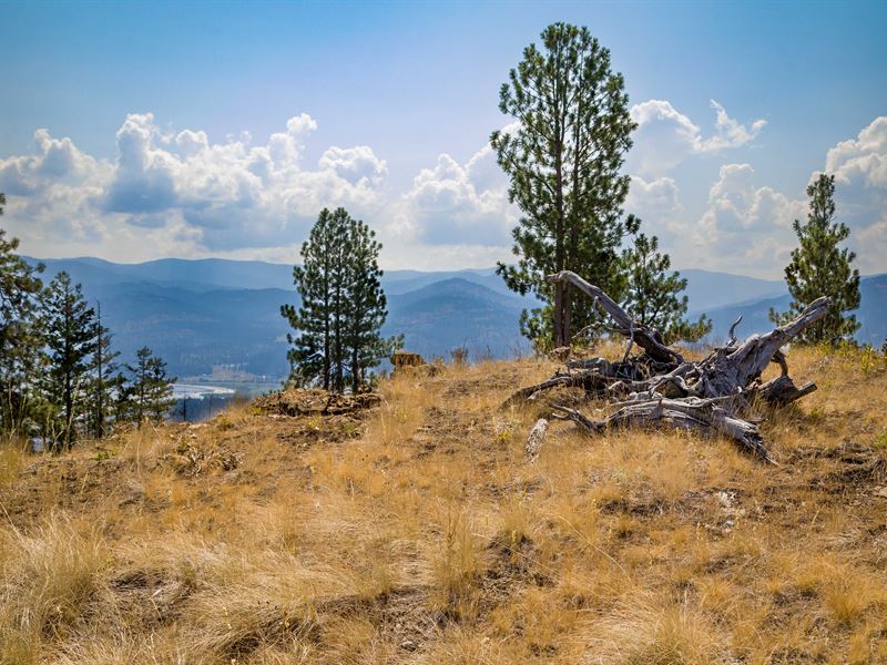 39.5 Acres on Eagle View Road : Kila : Flathead County : Montana