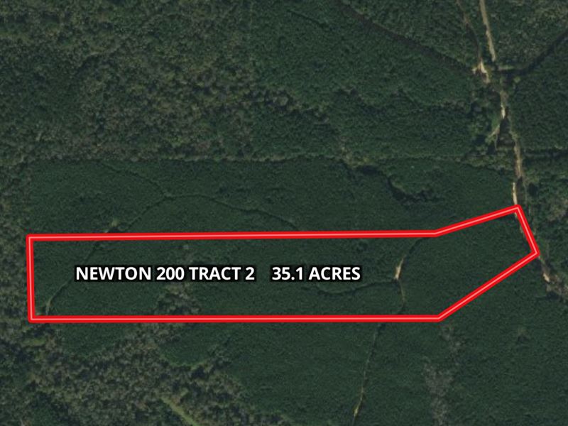 35.1+/- Ac Hunting Tract : Decatur : Newton County : Mississippi