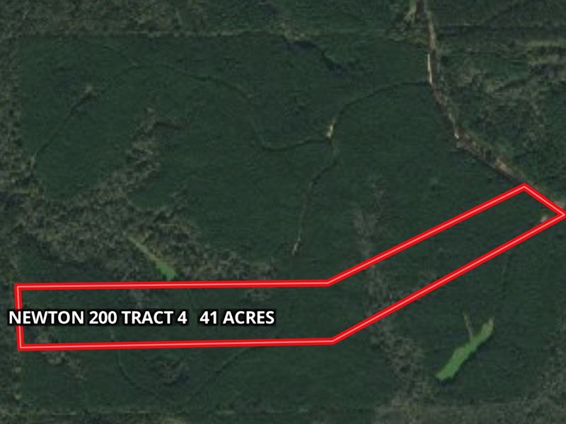 41+/- Ac Hunting Tract : Decatur : Newton County : Mississippi