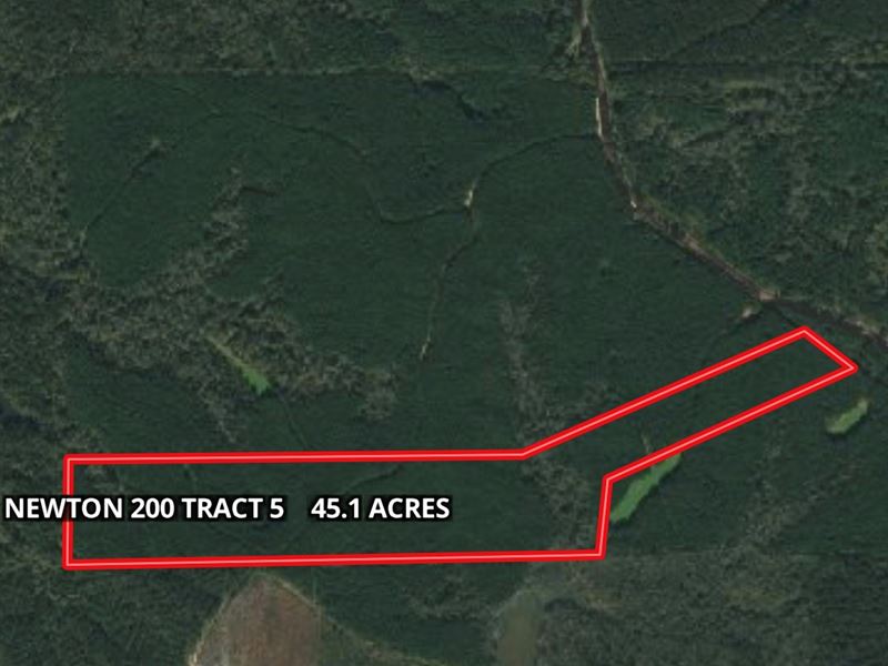 45.1+/- Ac Hunting Tract : Decatur : Newton County : Mississippi