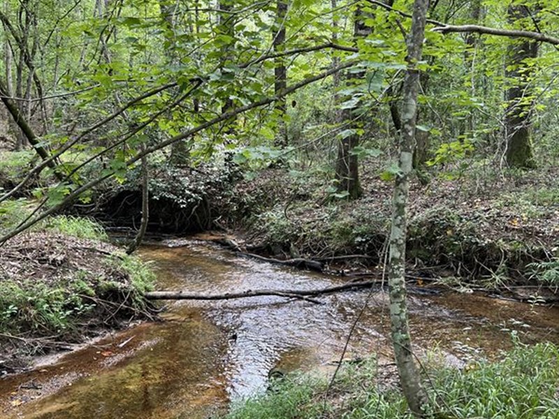 Spring Creek at Long Branch : Sparta : Hancock County : Georgia