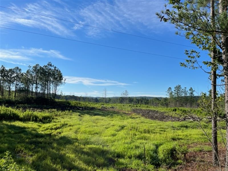 Culp Lake Tract : Cedartown : Polk County : Georgia