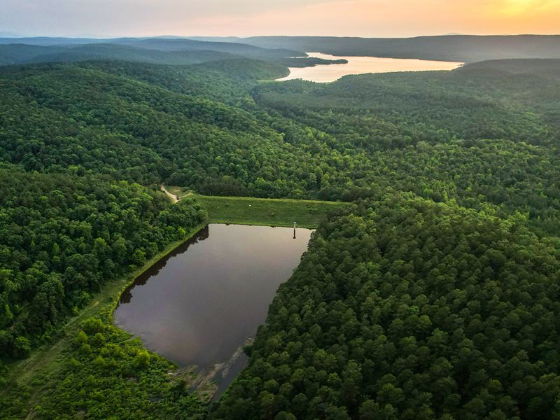 Mena Timber : Waldron : Scott County : Arkansas