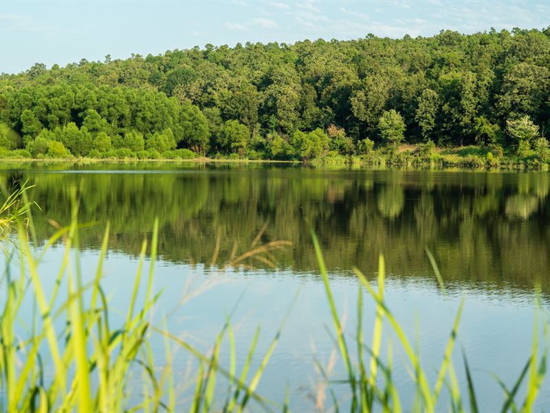 Pilot Mountain Lake : Waldron : Scott County : Arkansas