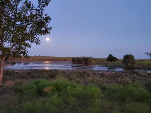 Prairie Lake Ranch : Penelope : Hill County : Texas