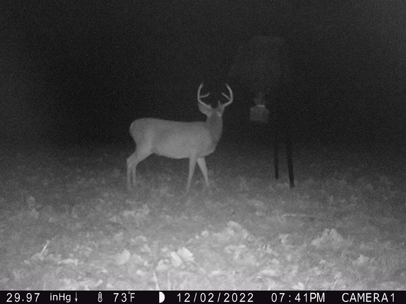 South Greensburg Rd, Amite County : Liberty : Amite County : Mississippi