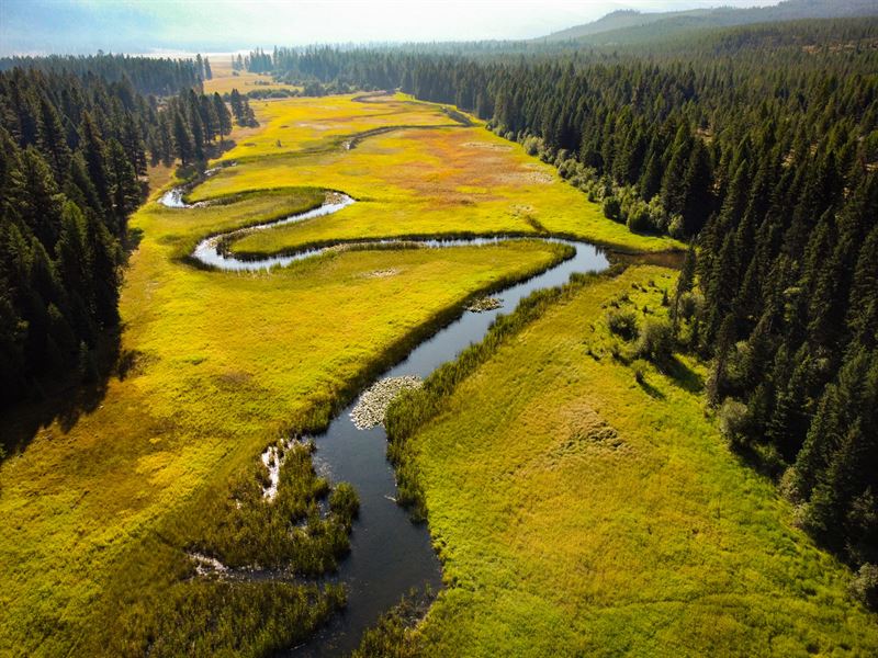 Thompson River Tract : Thompson Falls : Sanders County : Montana