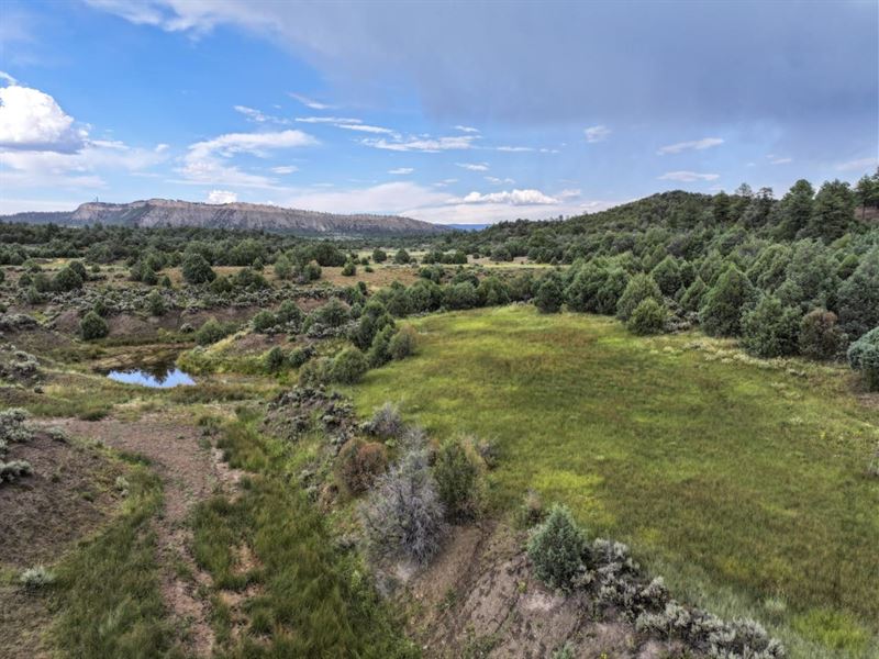 Brazos Valley Ranch, Ranch for Sale in New Mexico, #357775 : RANCHFLIP